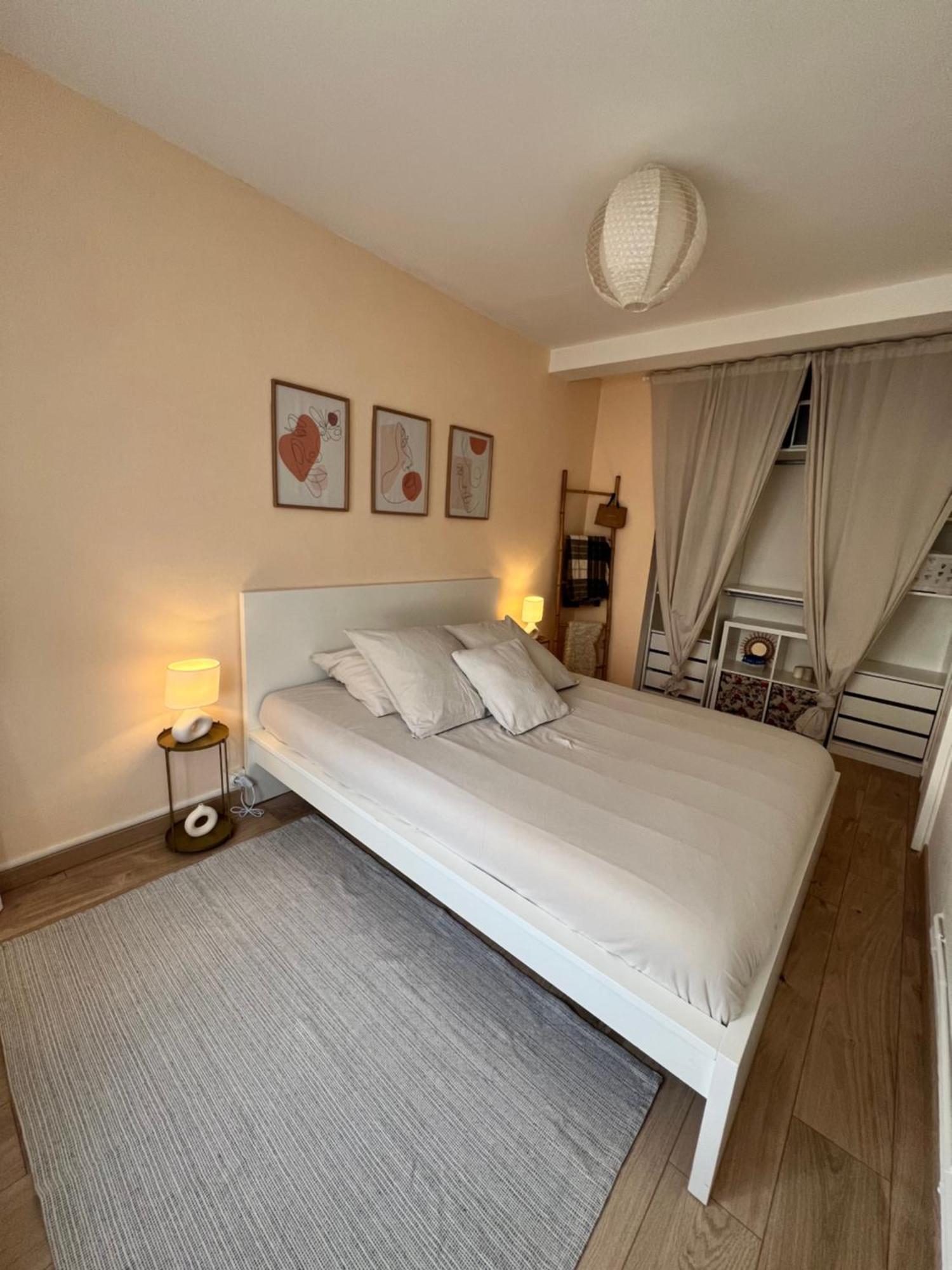Le Bellevue - T3 - Gare & Les Jardins Darcy - Parking Free Appartement Dijon Buitenkant foto